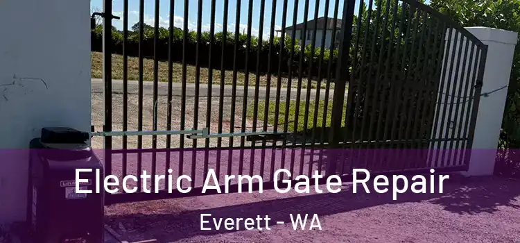 Electric Arm Gate Repair Everett - WA