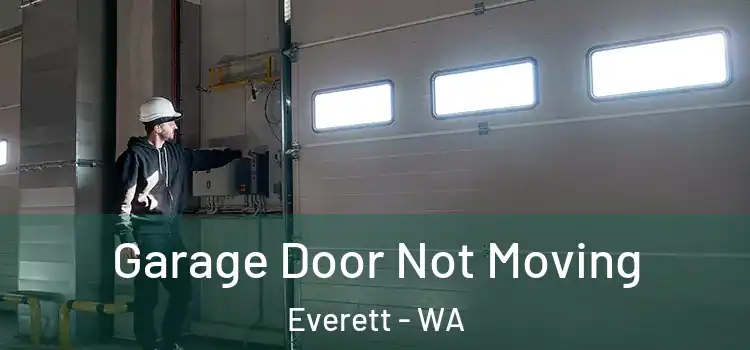  Garage Door Not Moving Everett - WA