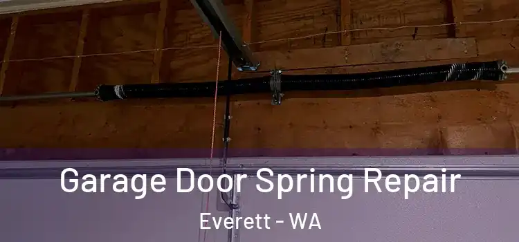  Garage Door Spring Repair Everett - WA