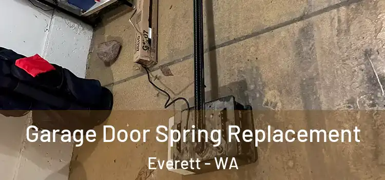  Garage Door Spring Replacement Everett - WA