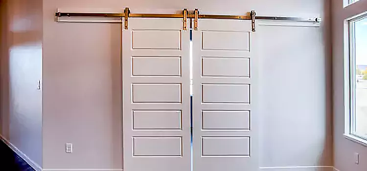 Glass Barn Door with Installation Hardware Kit Everett