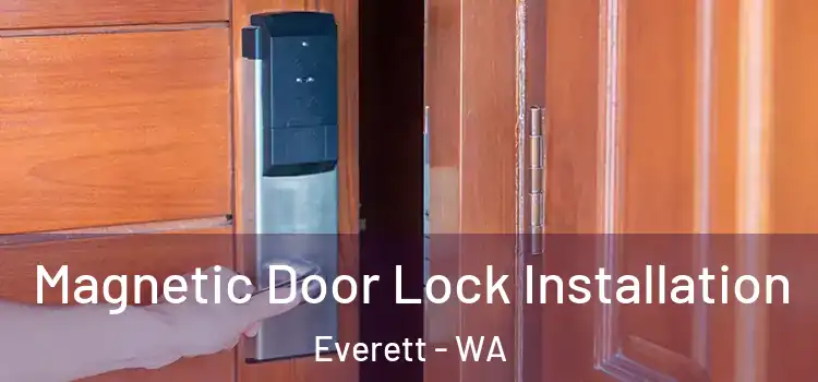  Magnetic Door Lock Installation Everett - WA