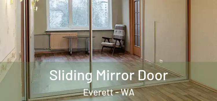  Sliding Mirror Door Everett - WA